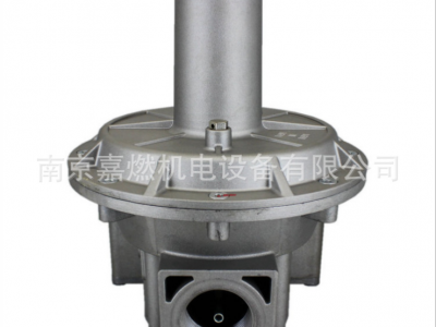 集咖GECA燃?xì)庹{(diào)壓閥RG032-1B 1-1/4"