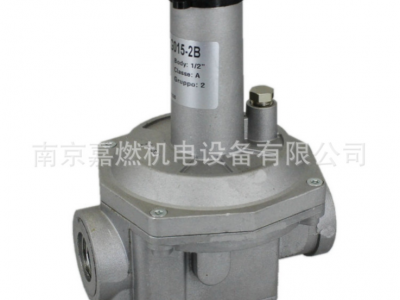 集咖>GECA>燃?xì)庹{(diào)壓閥>RG015-2B 1/2"